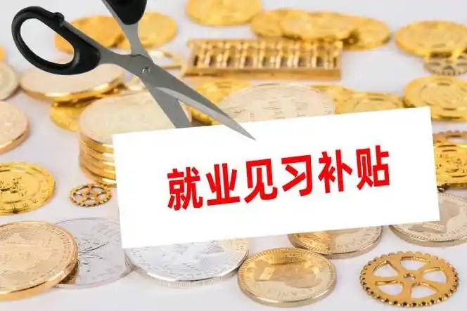 北京市就业见习工作管理办法